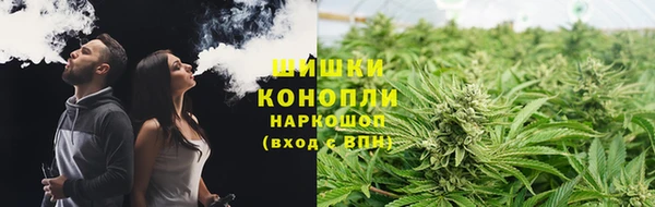 гашик Гусев
