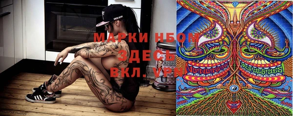 гашик Гусев
