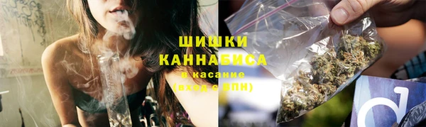 бошки Гусиноозёрск