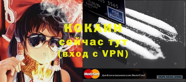 соль ск Горнозаводск