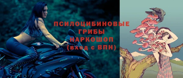прущая мука Чекалин