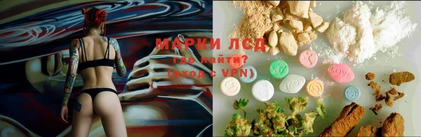 соль ск Горнозаводск
