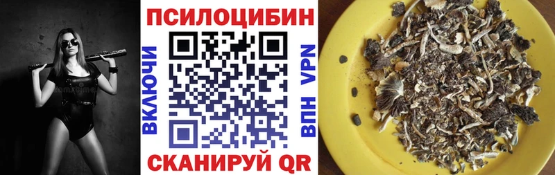 Галлюциногенные грибы Cubensis  закладки  Мценск 