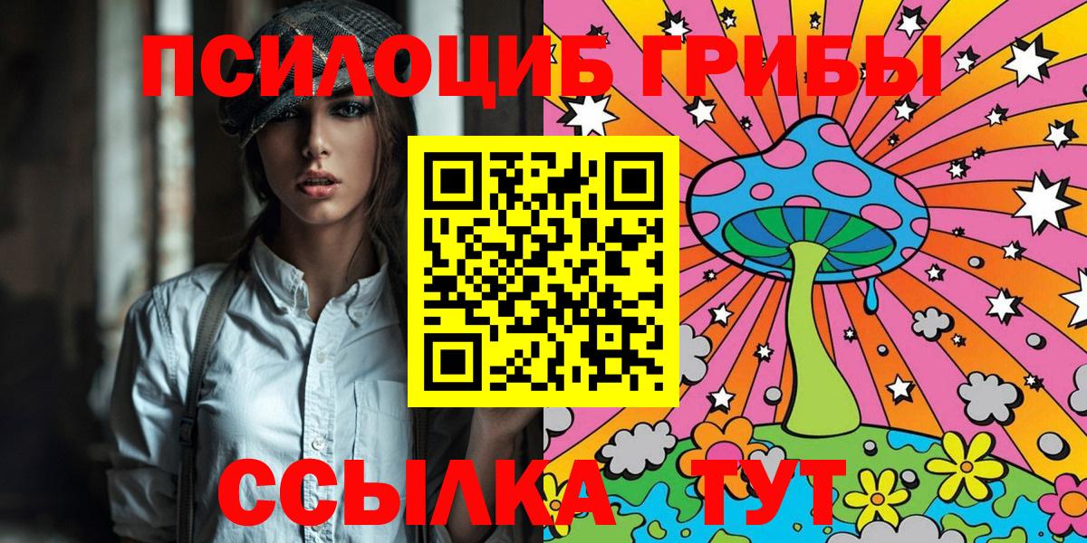 Мценск  Галлюциногенные грибы мицелий  Вход с VPN  Галлюциногенные грибы Psilocybe 
