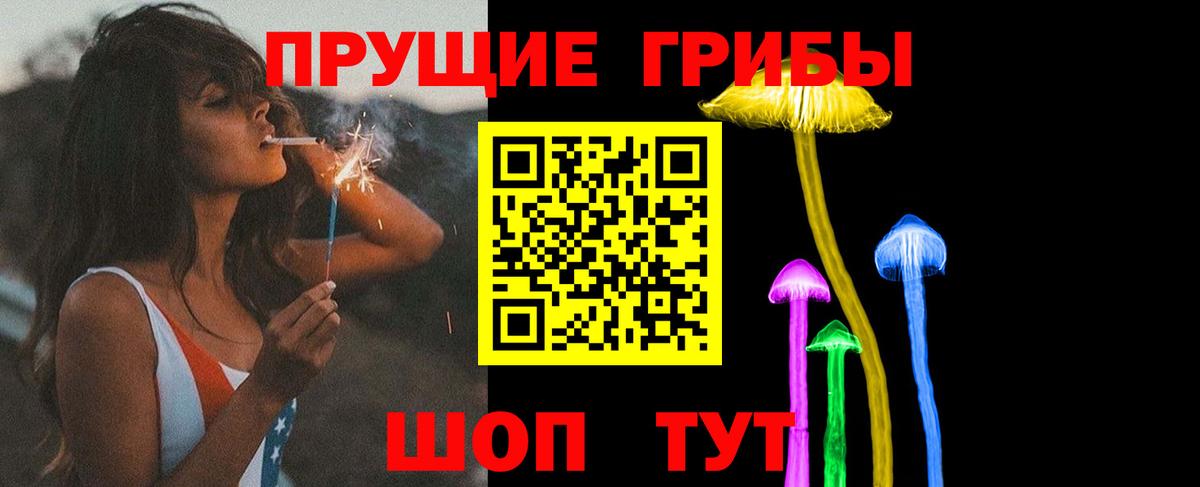 Псилоцибиновые грибы Psilocybe Мценск